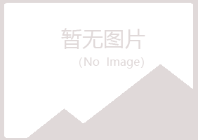 珲春字迹采矿有限公司